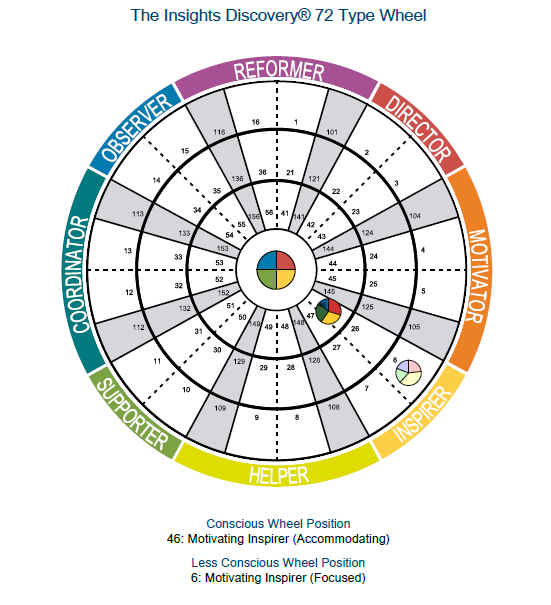 The Insights Wheel