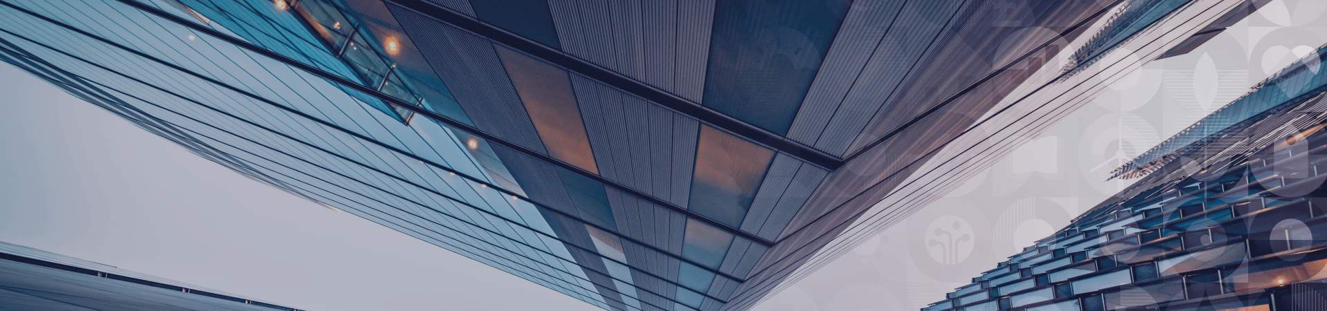 Audit Banner