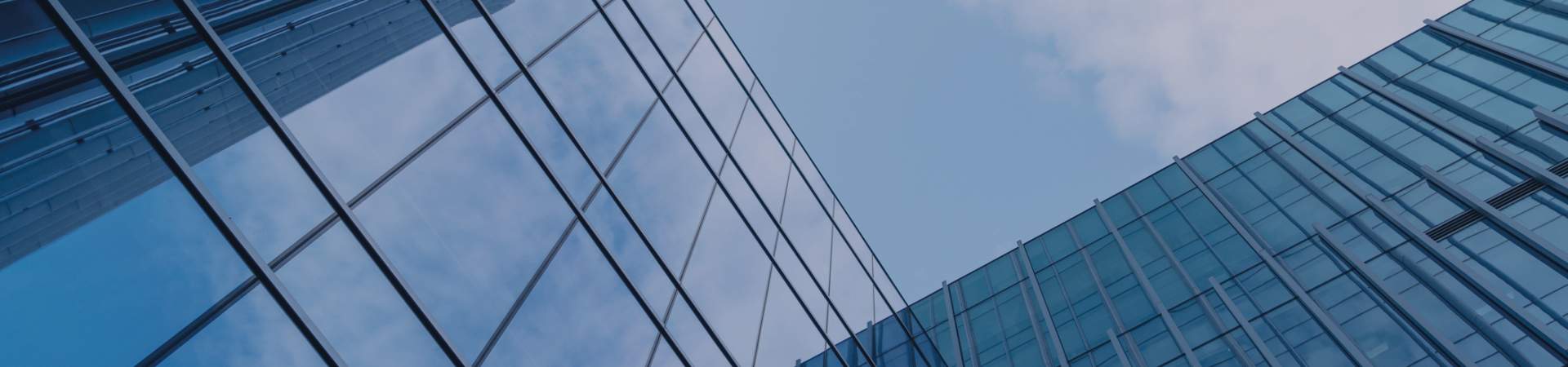 Bishop Fleming Transfer Pricing banner