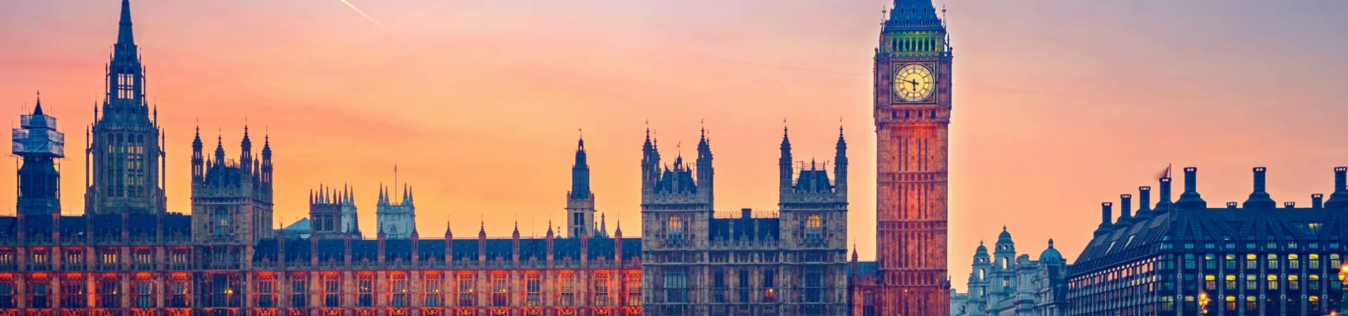 Bishop Fleming Insight Thumbnail