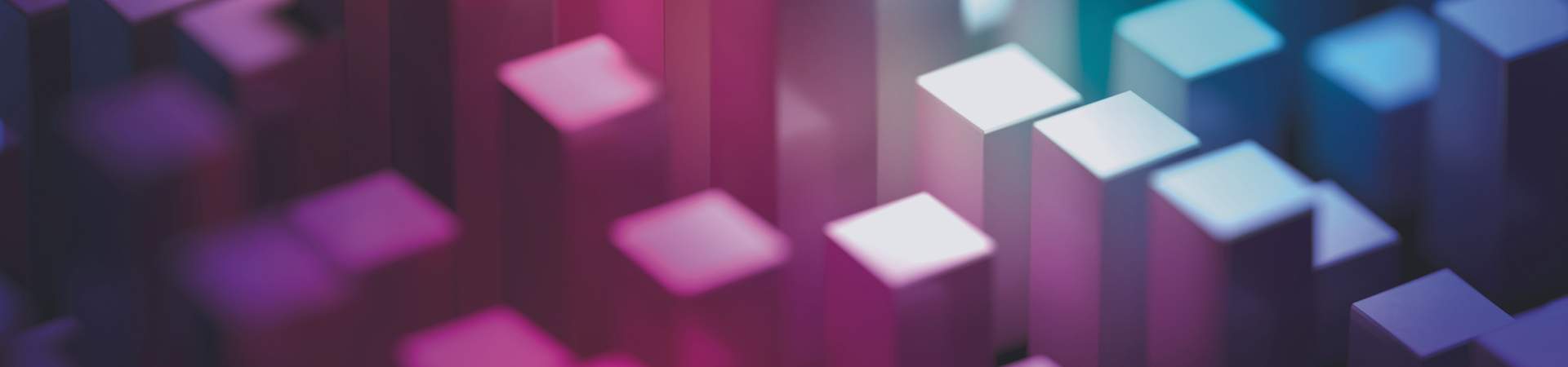 Bishop Fleming Banner