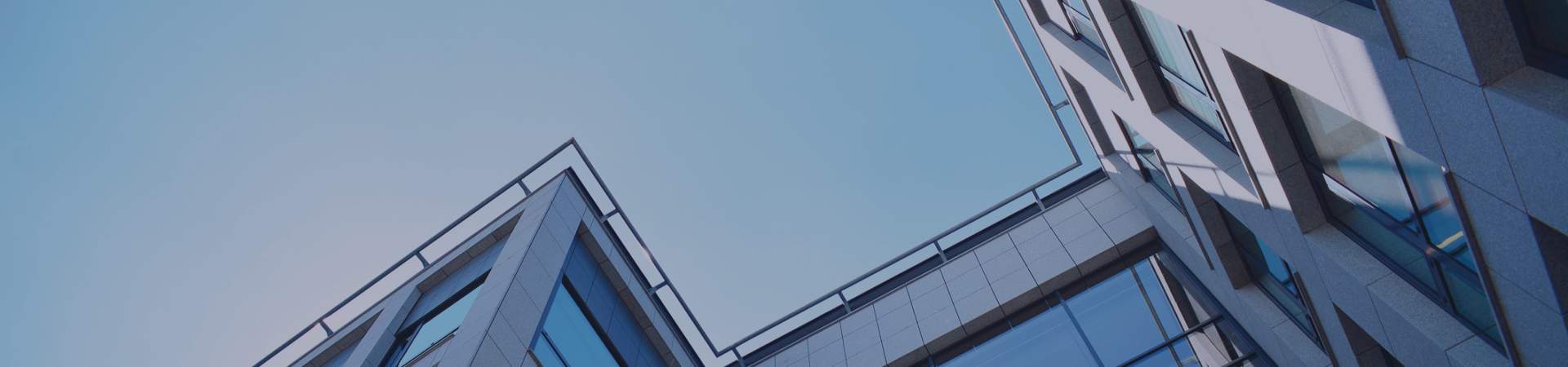 Bishop Fleming Insight Thumbnail