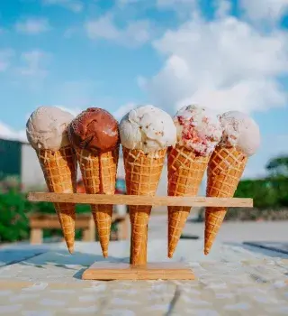 Conversations with: Gwella Dairy