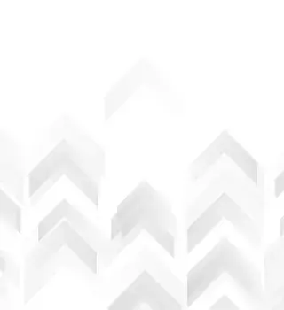 Academy Trusts report excellent audit experience