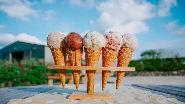 Conversations with: Gwella Dairy