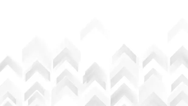 Academy Trusts report excellent audit experience