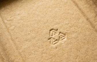 Bishop Fleming Insight Thumbnail