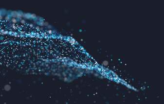 Bishop Fleming Insight Thumbnail